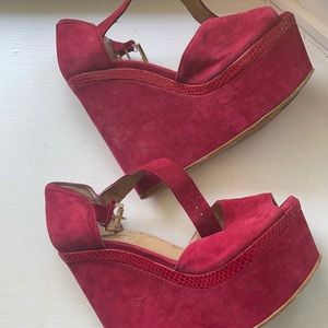 Berry color wedges
